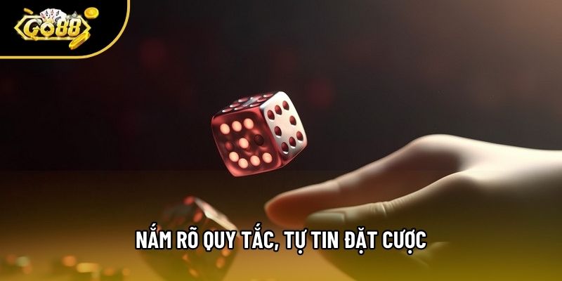 Nắm rõ quy tắc, tự tin đặt cược Nắm rõ quy tắc, tự tin đặt cược
